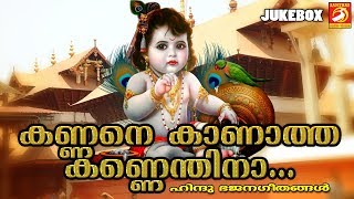 കണ്ണനെ കാണാത്ത കണ്ണെന്തിനാ  Sree Krishna Songs Malayalam  Hindu Devotiona Songs [upl. by Teiv]