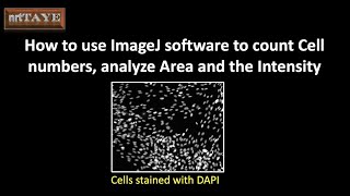 How to use ImageJ software to count Cell numbers analyze Area and the Intensity [upl. by Aytnahs]