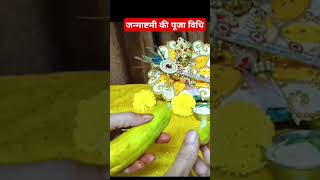 जन्माष्टमी की सरल पूजा विधि short video viral video [upl. by Ahsennod]