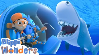 Sharks Teeth🦈 Blippi Wonders  Best Animal Videos for Kids  Kids Songs and Nursery Rhymes [upl. by Cherin752]