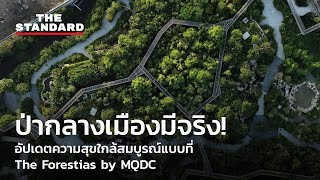 ป่ากลางเมืองมีจริง อัปเดตความสุขใกล้สมบูรณ์แบบที่ The Forestias by MQDC  THE STANDARD [upl. by Sorkin]