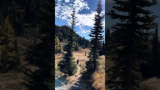 Scampering out of the Pasayten Wilderness pacificcresttrail wilderness fallcolors [upl. by Ennagem]