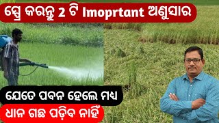 Paddy lodging 2 ଟି Imortant ସ୍ପ୍ରେ ଧାନ ପଡ଼ିବ ନାହିଁ [upl. by Lough]