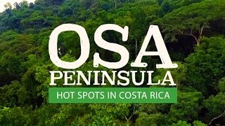 Travel to the Osa Peninsula amp Corcovado Costa Rica [upl. by Enautna]