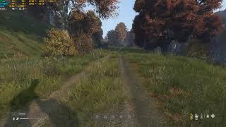 DayZ  GTX 950M DDR3 GAMEPLAY 2020 [upl. by Sidwell]