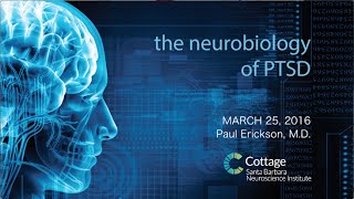 SBNI Lunch Lecture Series  The Neurobiology of PTSD [upl. by Arondell345]