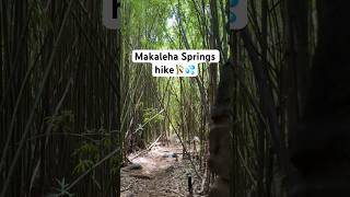 Makaleha Springs hike through the bamboo forest my kids love it So magical I named my son Makaleha [upl. by Eittol]