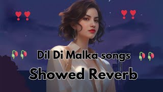 Dil Di Malka showed Reverb Heartfelt Panjabi Sad Song Studio Production with Reverb Effectsquotsong [upl. by Oemor]