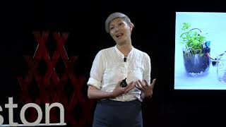 An interspecies Metaverse where trees own bank accounts  Cecilia Tham  TEDxBostonStudio [upl. by Garnes]