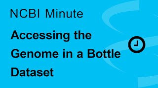 The NCBI Minute Accessing the Genome in a Bottle Dataset [upl. by Savart]