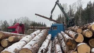 I load roundwood into a logging truck and show the process of working in production [upl. by Laram995]