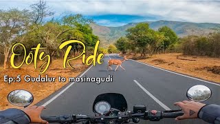 Bike ride through Gudalur to masinagudi Ep5  Ooty trip  ooty masinagudi gudalur ​bike ride [upl. by Otsenre]