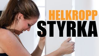 20 MINUTER CIRKELFYS  styrketräning  helkropp [upl. by Aneeras]