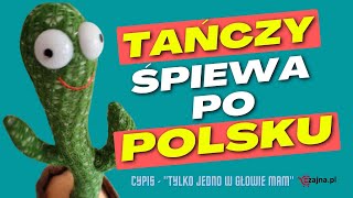 Pluszowy kaktus z ALIEXPRESS który tańczy i śpiewa po POLSKU Tylko jedno w głowie mam [upl. by Anigue]