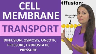 Cell Membrane Transport Passive amp Active Diffusion Osmosis Hydrostatic Oncotic Pressure Colloid [upl. by Airret]