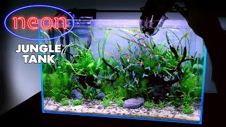 Aquascape Tutorial NEON TETRA Jungle Aquarium How To Non co2 Planted Tank Step by Step Guide [upl. by Yhtommit]