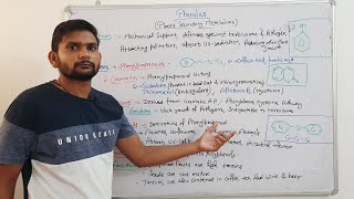 PhenolicsPlants Secondary MetabolitesCSIR NET In Hindi [upl. by Clevey]