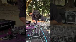 Ruido festival Fascinoma dj triphop triphopmusic dub [upl. by Toft]