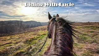 GoPro Hero 11 Virtual Horse Riding With Lucie  Trails And Back To The Farm With Special Guest Abby [upl. by Nohsal]