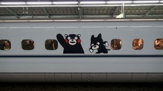 くまモンampくろちゃん ラッピング新幹線 新神戸駅 【Kumamon Shinkansen】 [upl. by Ellivro]