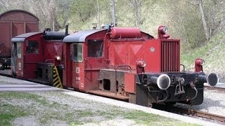 Köfs Leistungsgruppe II Die Kleinlokomotiven der Reichsbahn  Fotodokumentation [upl. by Richers]