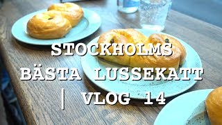 STOCKHOLMS BÄSTA LUSSEKATT  VLOG 14 [upl. by Gery287]