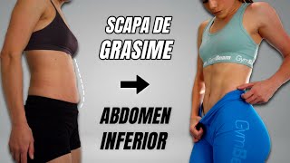 Scapa De Grasime  ABDOMEN INFERIOR  Antrenament Pentru Abdomen Acasa [upl. by Esilec]