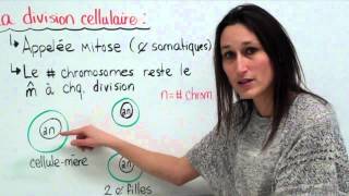 18 Sciences 9e Le cycle cellulaire [upl. by Airdnaed]