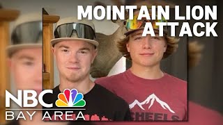 Family of boys attacked by mountain lion speak out [upl. by Eiramnerual]