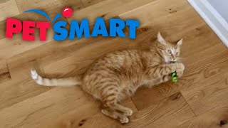 SPOILING KURT WITH PETSMART Ad PetSmartPartner AnythingForPets [upl. by Hairem]