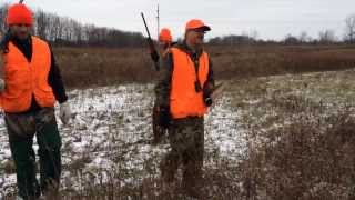 Bird Dog Training 2013 [upl. by Margeaux427]