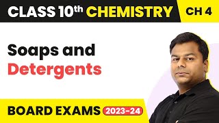 Class 10 Chemistry Chapter 4  Carbon and its Compounds  Soaps and Detergents [upl. by Mal103]