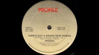 Pigbag  Papas Got A Brand New Pigbag Profile records 1985 [upl. by Camala702]