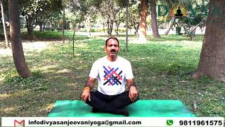 Treatments of diabetes by yoga Dr VK SINGH  Divyasanjeevani Yoga [upl. by Dranoc682]