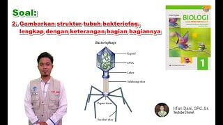 Gambarkan struktur tubuh bakteriofag lengkap dengan keterangan bagian bagiannya [upl. by Noryk]