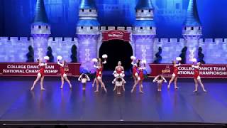 Stony Brook Dance Team Division 1 Pom SemiFinals 2019 [upl. by Branham50]