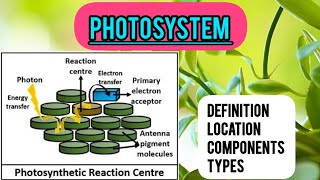 PHOTOSYSTEMPHOTOSYNTHESIS 🍁🌿☘️ [upl. by Sirama208]