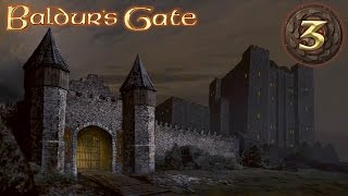 03 Beregost amp Viconia — Baldurs Gate Enhanced Edition [upl. by Otreblif]