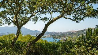 10 Alcatraz Avenue Tiburon CA  ColdwellBankerHomescom [upl. by Jacobsohn]