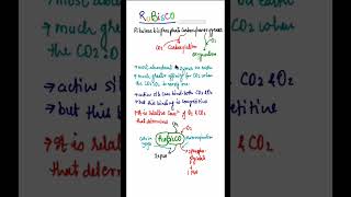 RuBisCO enzyme functionsfull form of Rubisco rubiscoenzymes shorts photosynthesisinhigherplants [upl. by Simmons]