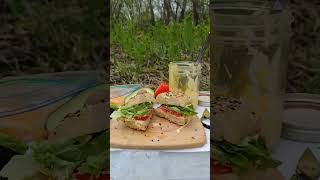 Picking Fiddleheads  Fishing  Picnic fiddleheads simpleliving mainelife [upl. by Gerick]