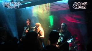 PAGANIZER  Scandinavian Warmachine  Live 2014 [upl. by Yalhsa]