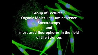 2021 10 25 BPL Lect14 Luminescence Fluorescence Phosphorescence Kasha rule [upl. by Loos554]