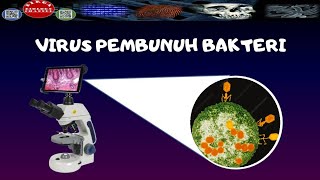 ZOOM BAKTERIOFAGVIRUS PEMBUNUH BAKTERI DENGAN MIKROSKOP ELEKTRON  DIRGA BIOLOGY CHANNEL [upl. by Innob]