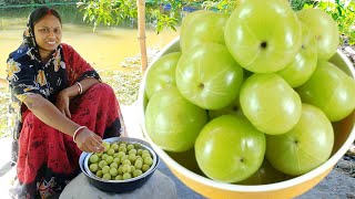 সর্দি কাশি গ্যাস অম্বল দূর করতে আমলকী এইভাবে একবার খেয়ে দেখুন দারুন উপকার পাবেন  amla recipe [upl. by Hgalehs]