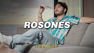 ROSONES  Tito Double P Fuerza Regida LETRALYRICS [upl. by Comyns588]