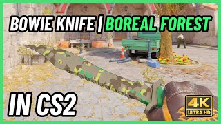 ★ CS2 Bowie Knife Boreal Forest  CS2 Knife InGame Showcase 4K [upl. by Sykleb824]