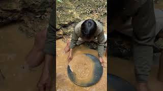 Didong material under bamboo trees containing gold dust [upl. by Ueik]