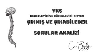 YKS BİYOLOJİ ÇIKMIŞ VE ÇIKABİLECEK SORULAR ANALİZİ  Denetleyici ve Düzenleyici Sistem [upl. by Grani]