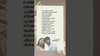 Nokki Nokki Nokki Ninnu HD Lyrics Status💕 dulkarsalman malayalamlyrics malayalamlyrical lyrics [upl. by Aliakam]